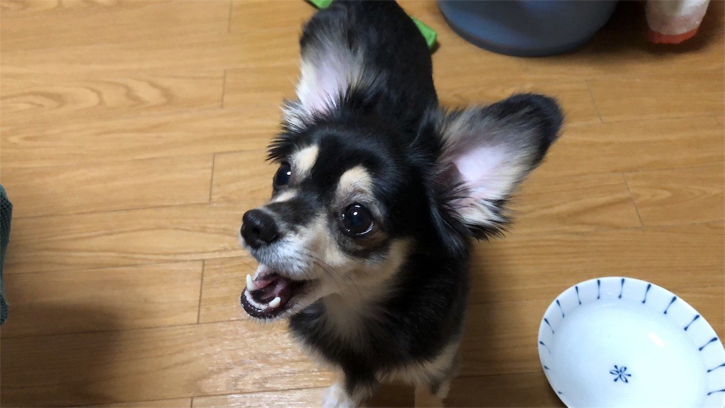 f:id:akie1000:20180921004515j:image