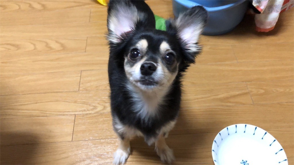 f:id:akie1000:20180921004518j:image