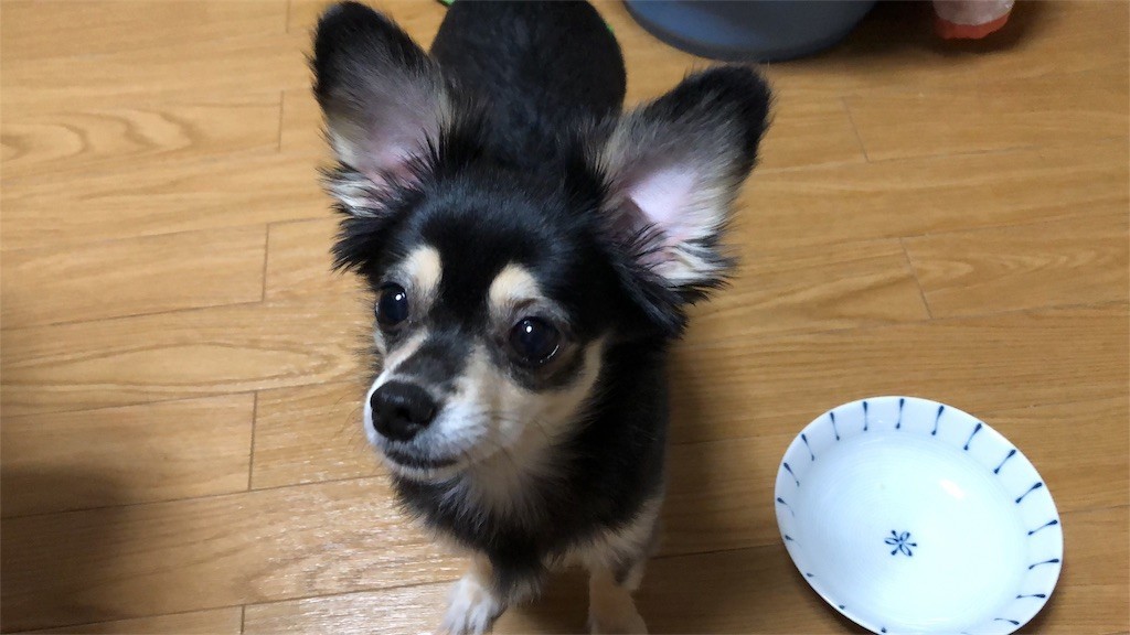f:id:akie1000:20180921004521j:image