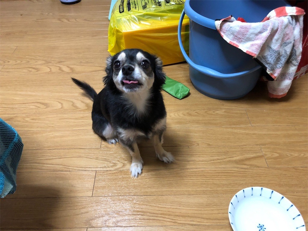 f:id:akie1000:20180921004524j:image
