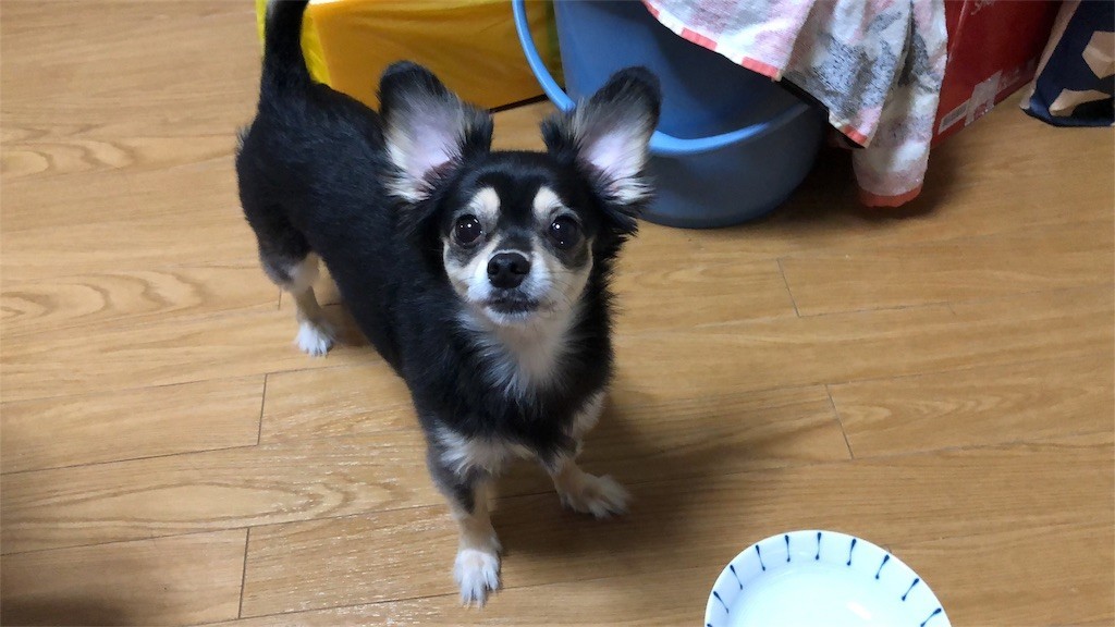 f:id:akie1000:20180921004527j:image