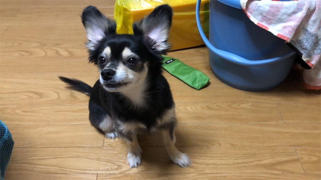 f:id:akie1000:20180921004540j:image