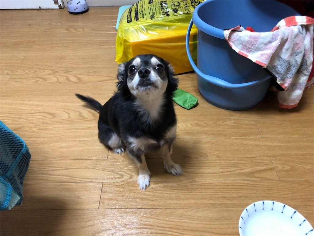 f:id:akie1000:20180921004544j:image
