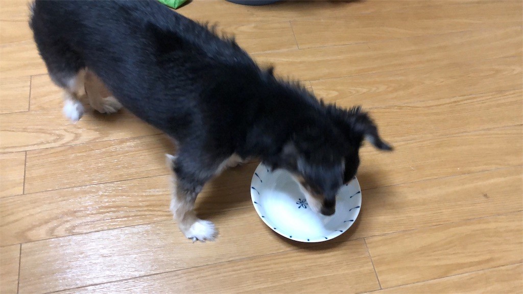 f:id:akie1000:20180921004551j:image