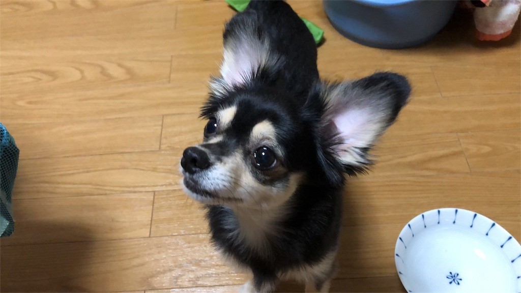 f:id:akie1000:20180921004554j:image