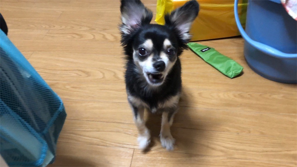 f:id:akie1000:20180921004556j:image