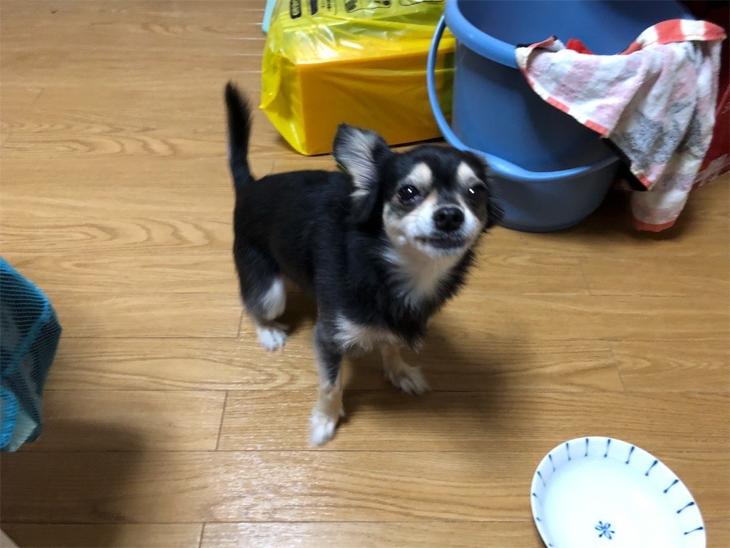 f:id:akie1000:20180921004609j:image