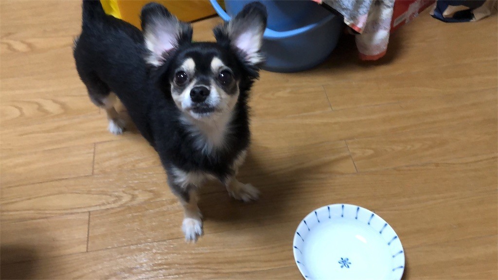 f:id:akie1000:20180921004615j:image