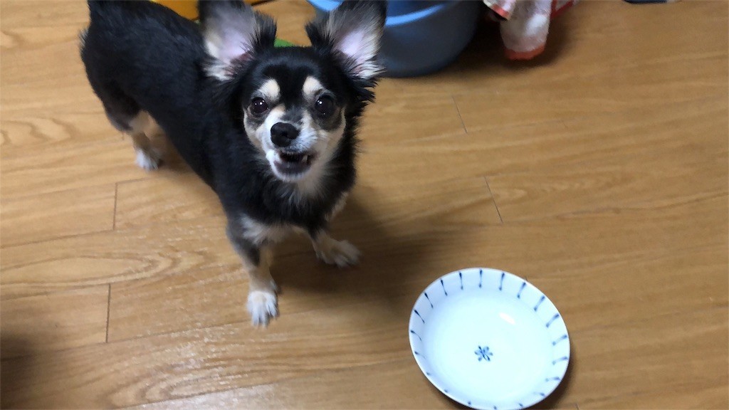 f:id:akie1000:20180921004618j:image