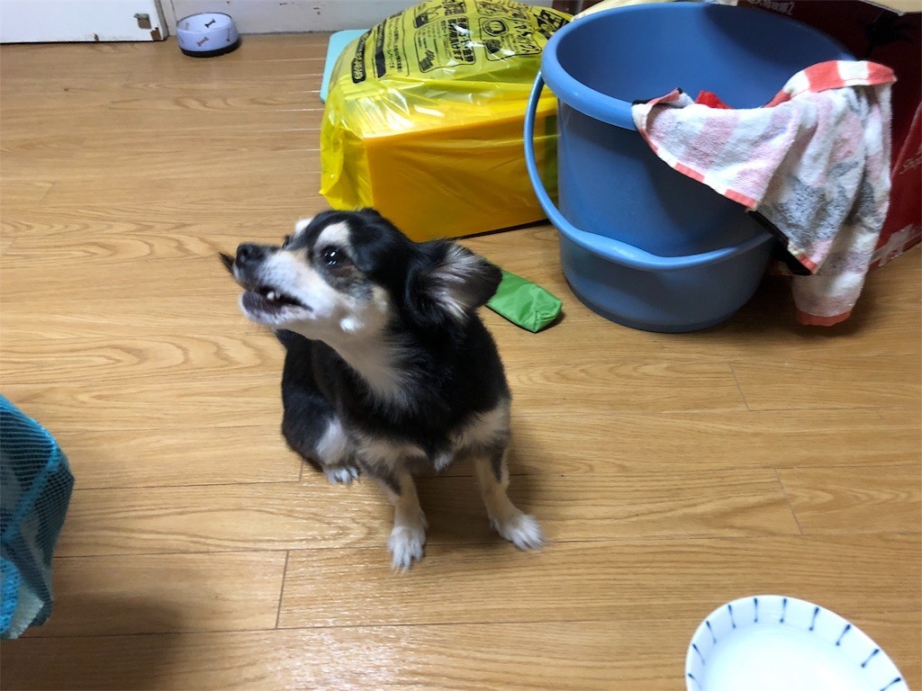 f:id:akie1000:20180921004621j:image