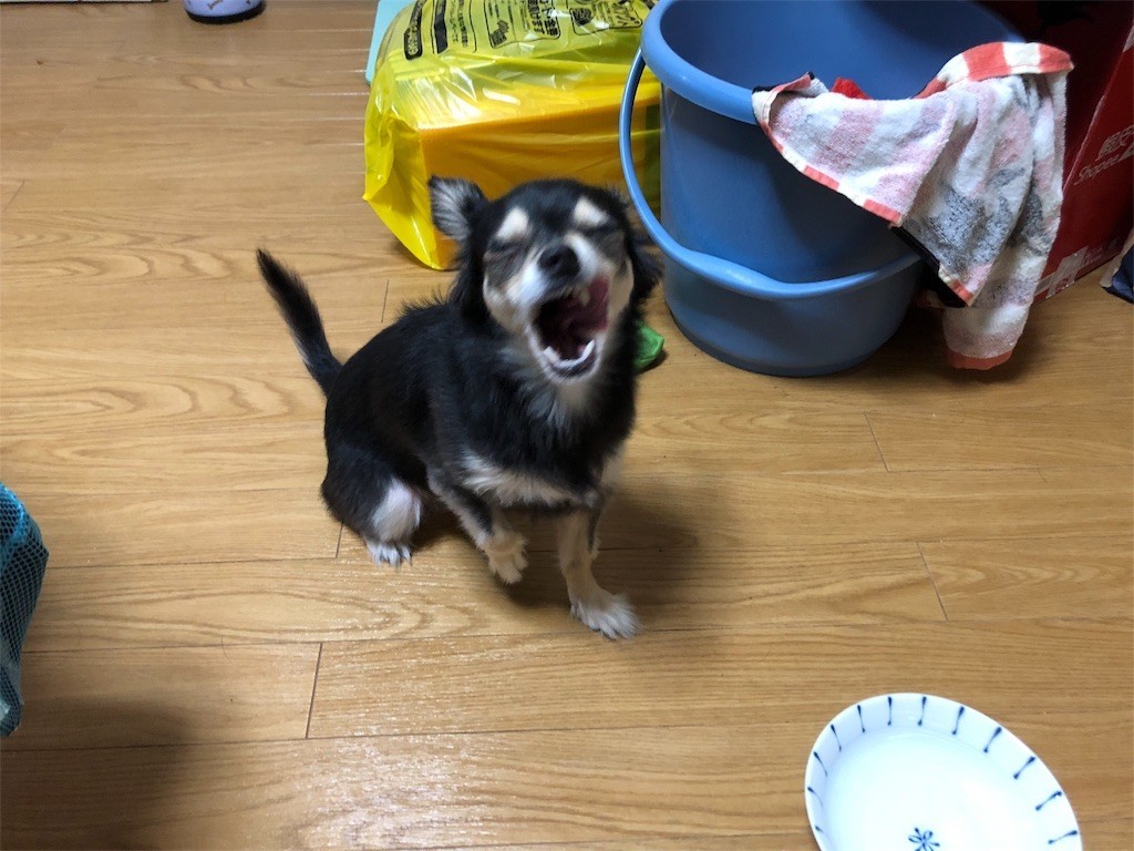 f:id:akie1000:20180921004623j:image