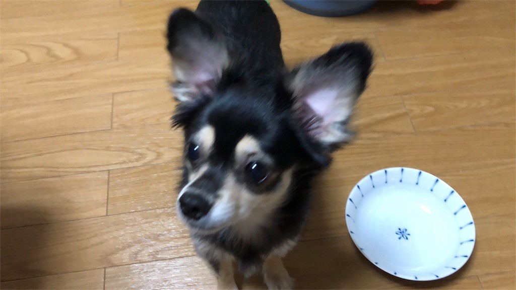 f:id:akie1000:20180921004626j:image