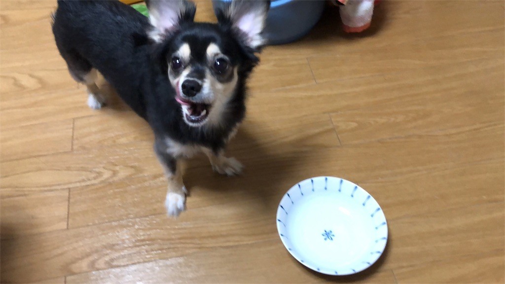 f:id:akie1000:20180921004629j:image