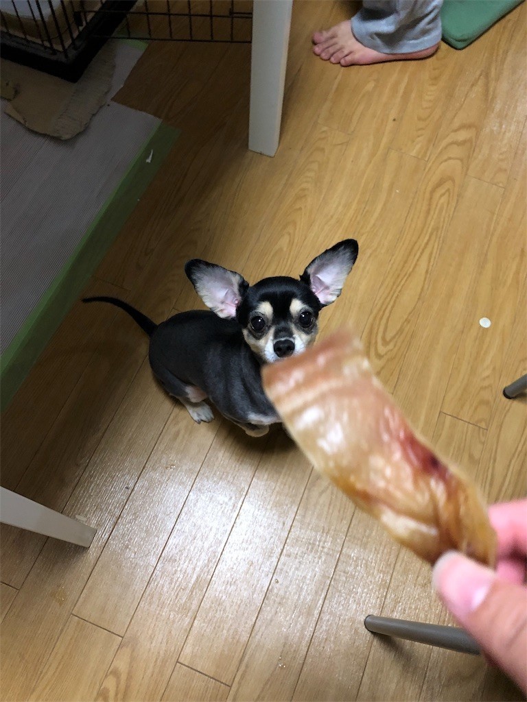 f:id:akie1000:20180927225331j:image