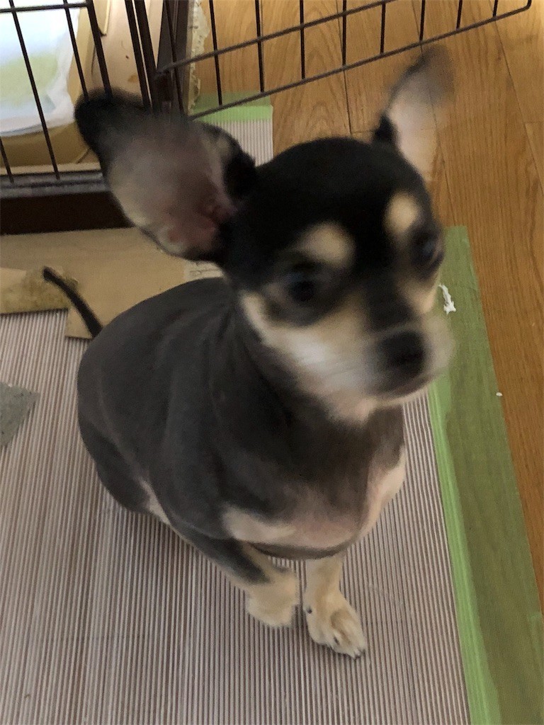 f:id:akie1000:20180927225334j:image