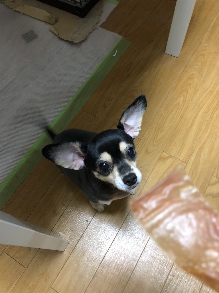 f:id:akie1000:20180927225336j:image