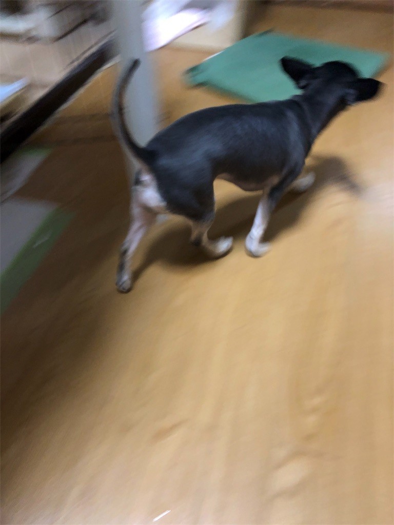 f:id:akie1000:20180927225342j:image