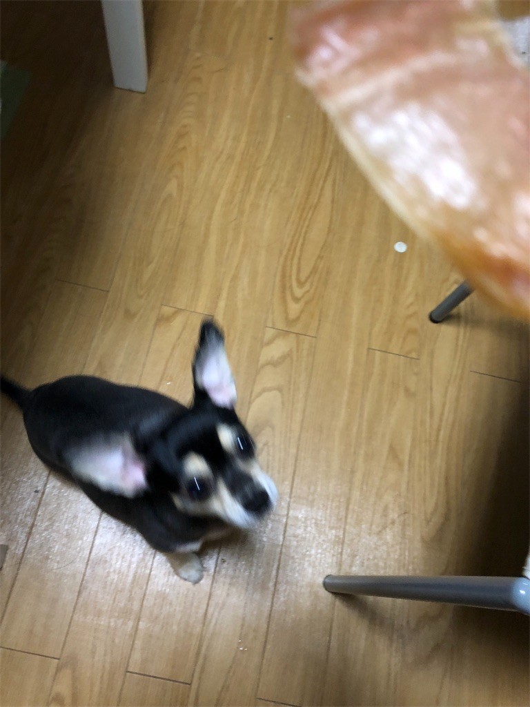 f:id:akie1000:20180927225349j:image