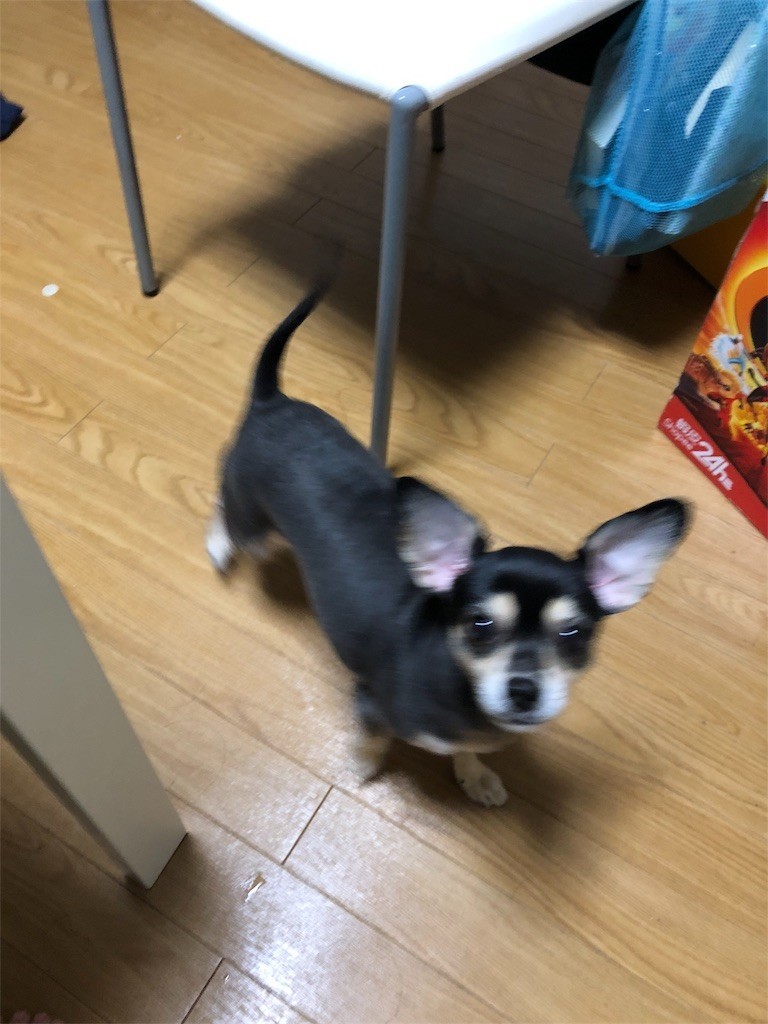 f:id:akie1000:20180927225355j:image