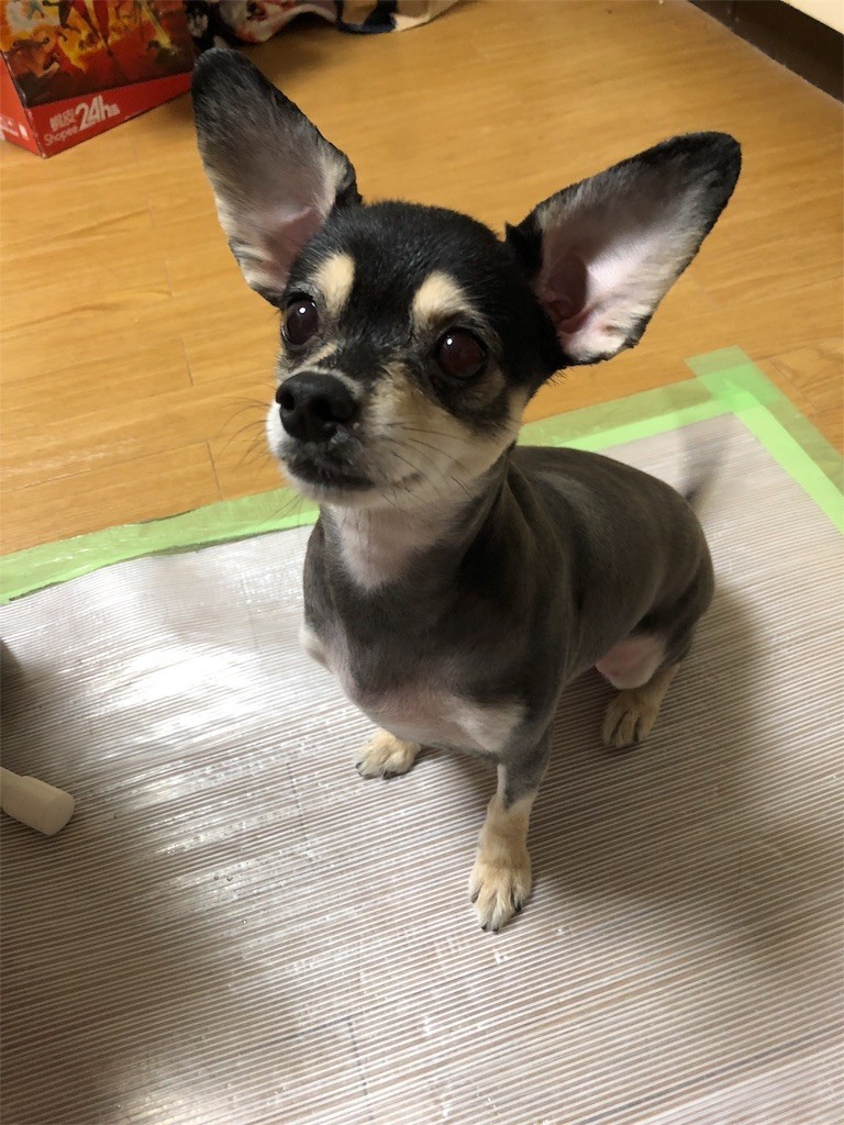 f:id:akie1000:20180927234043j:image