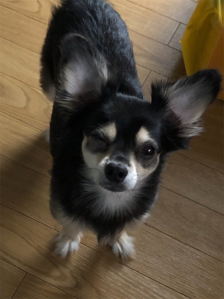 f:id:akie1000:20180927234051j:image