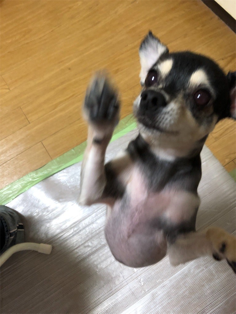 f:id:akie1000:20180927234057j:image