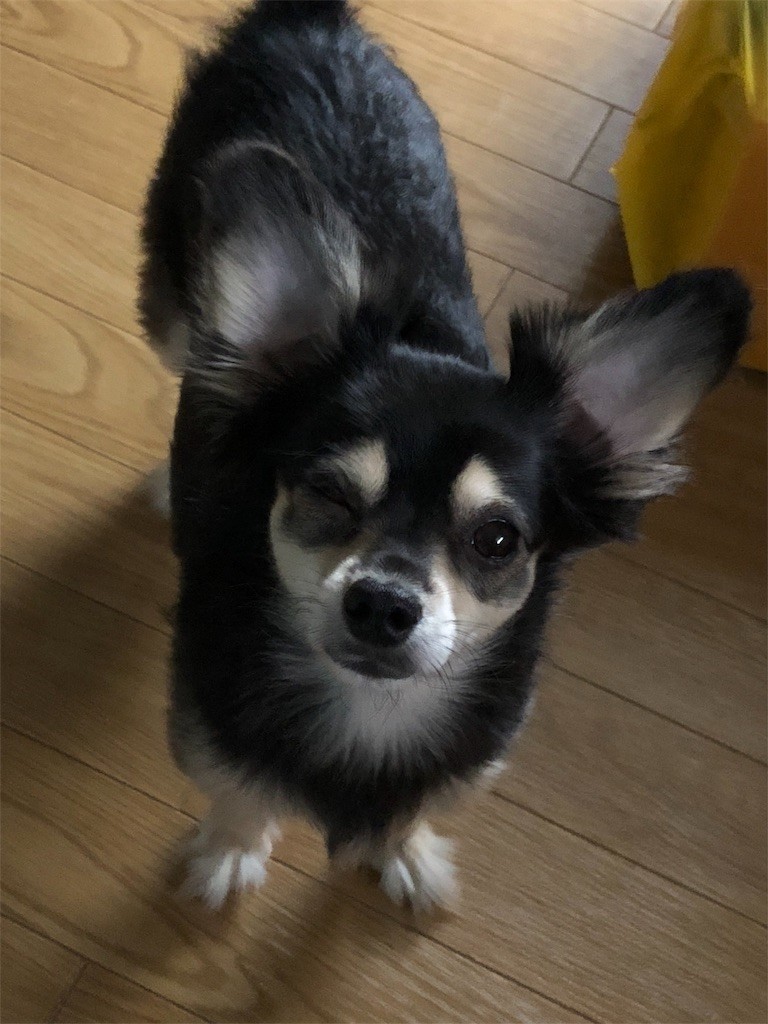 f:id:akie1000:20180927234100j:image