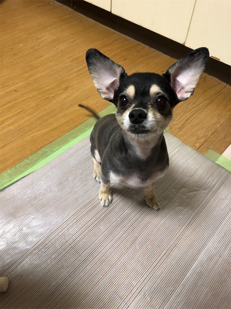 f:id:akie1000:20180927234103j:image