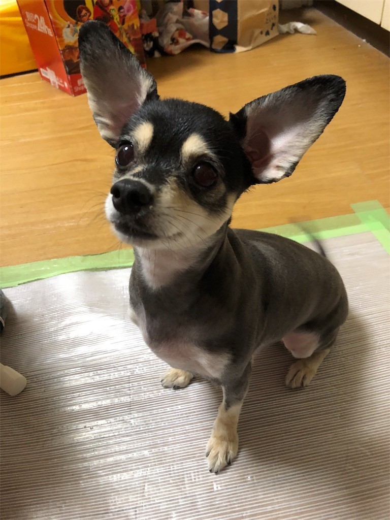 f:id:akie1000:20180927234109j:image
