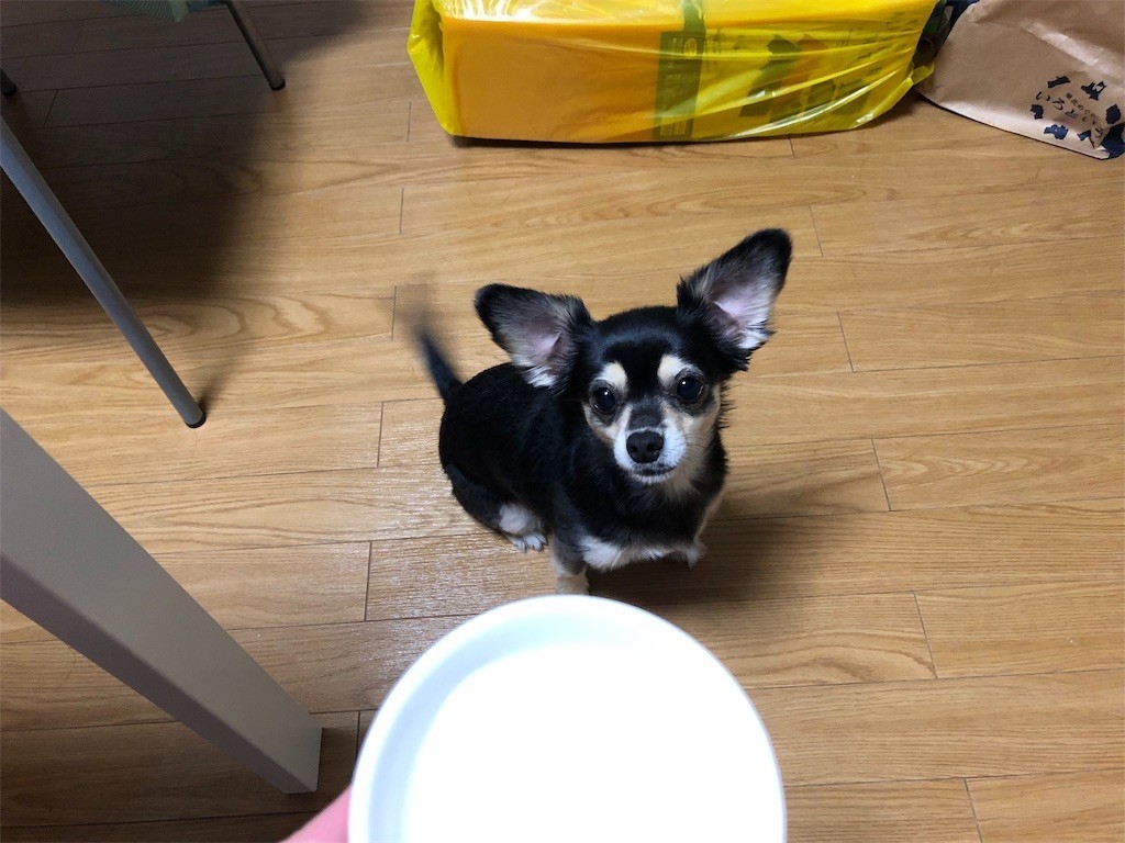 f:id:akie1000:20181111160523j:image