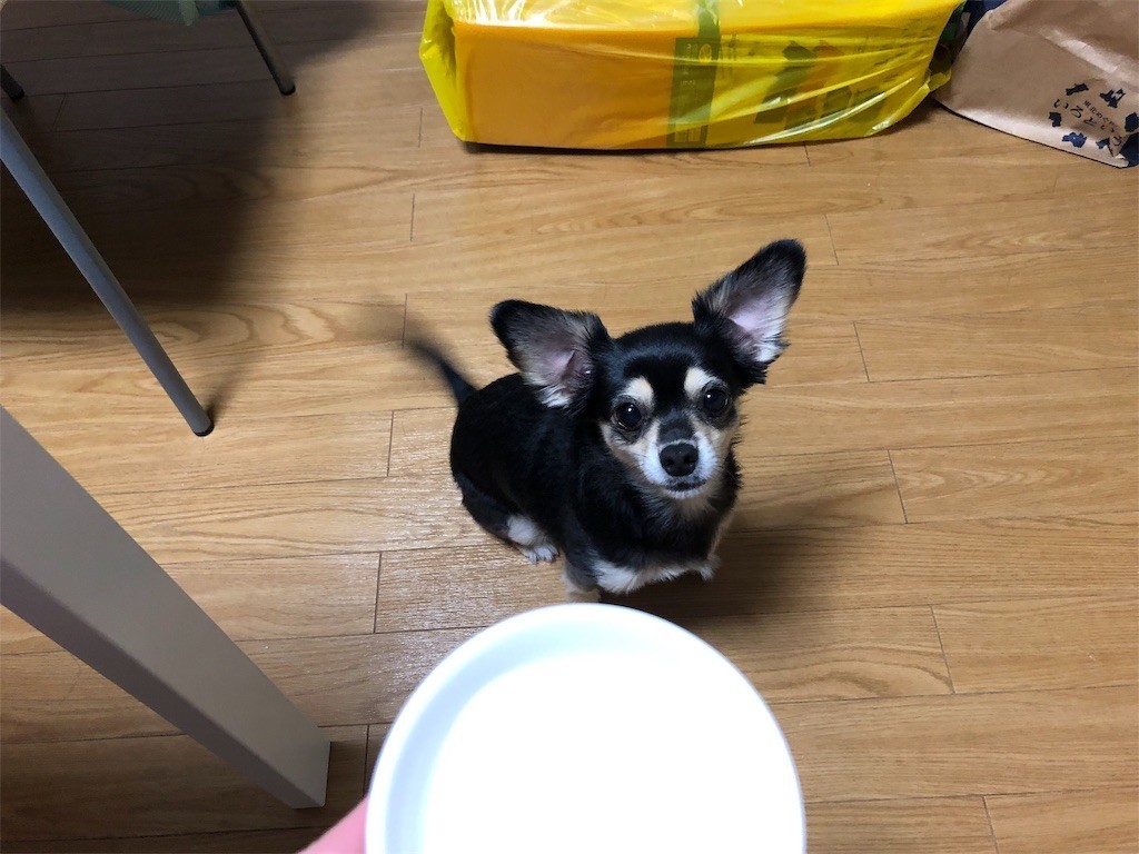 f:id:akie1000:20181111160526j:image