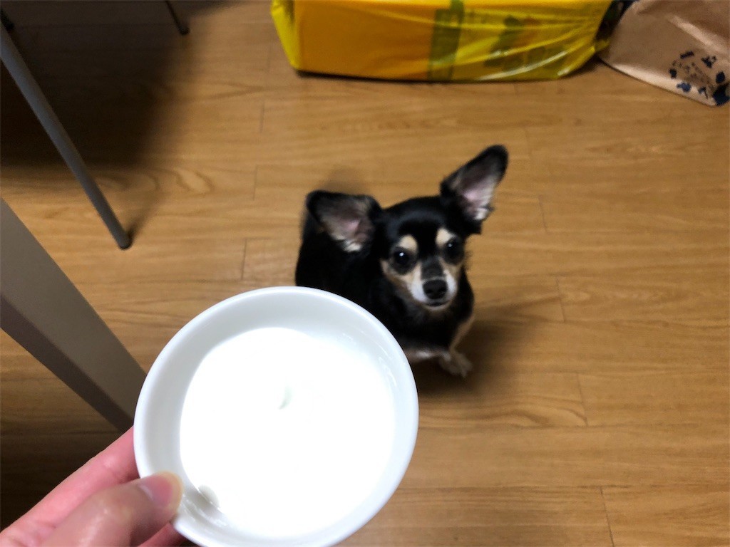 f:id:akie1000:20181111160529j:image