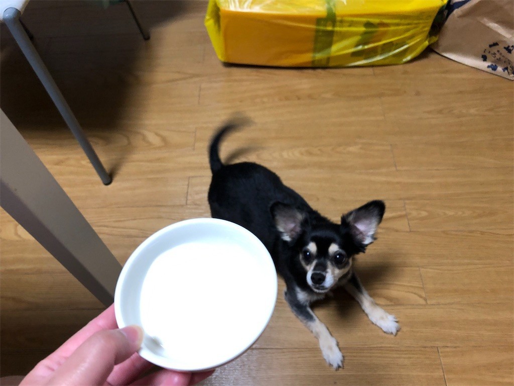 f:id:akie1000:20181111160536j:image