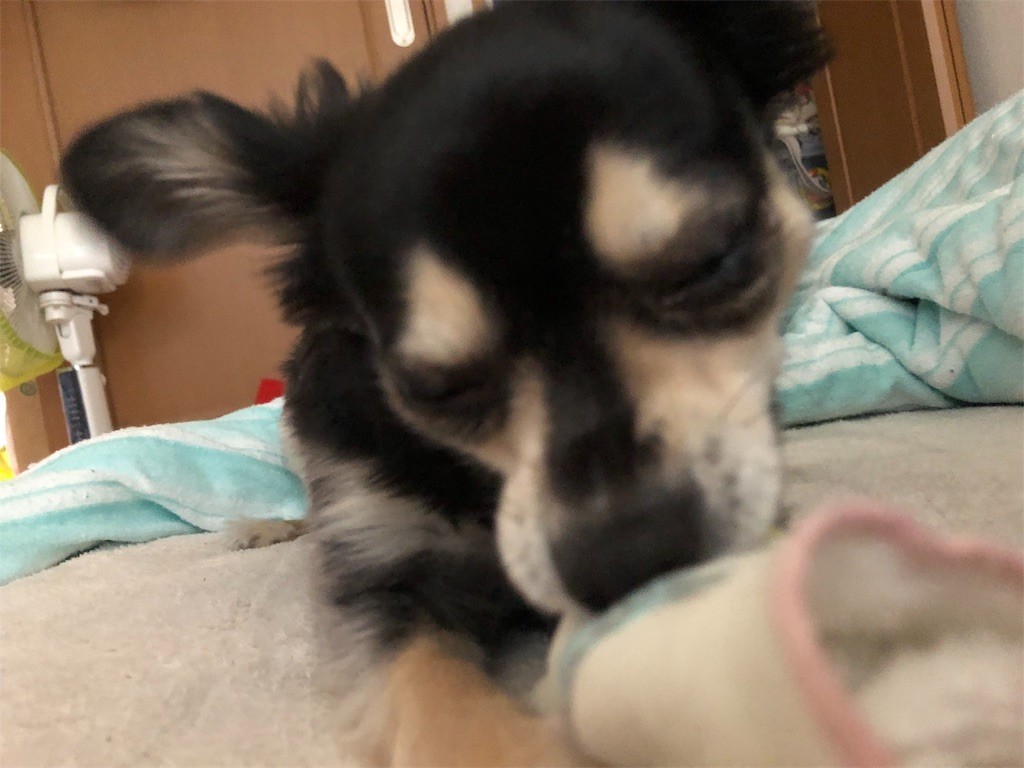 f:id:akie1000:20181122233133j:image