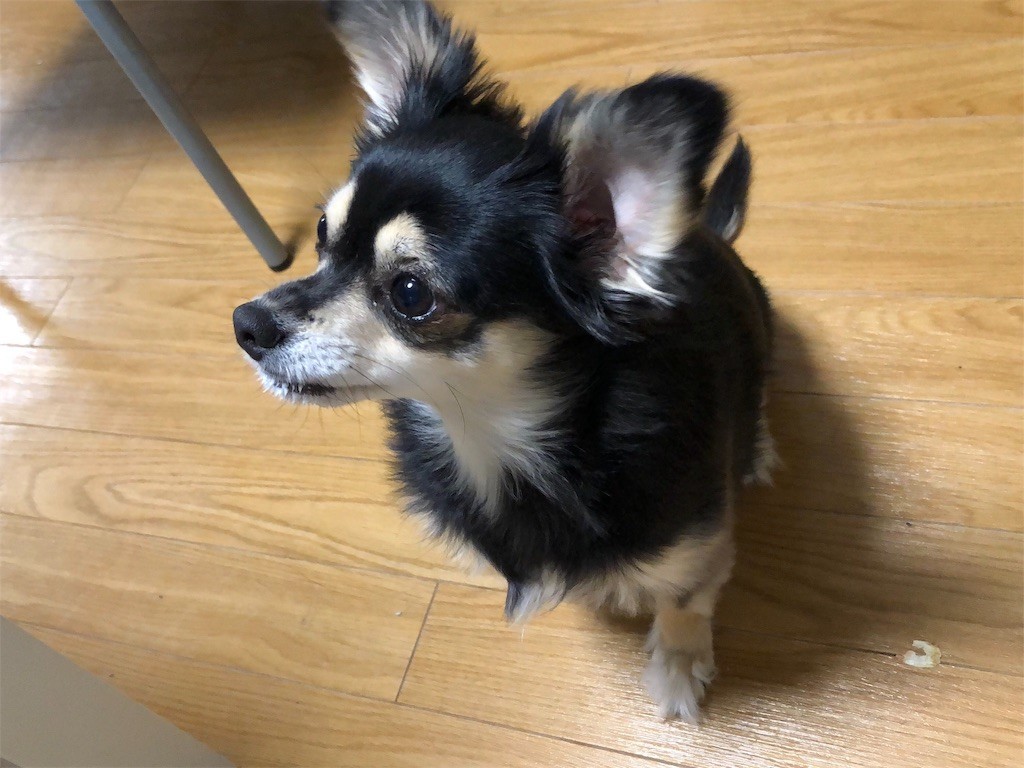 f:id:akie1000:20181215223120j:image