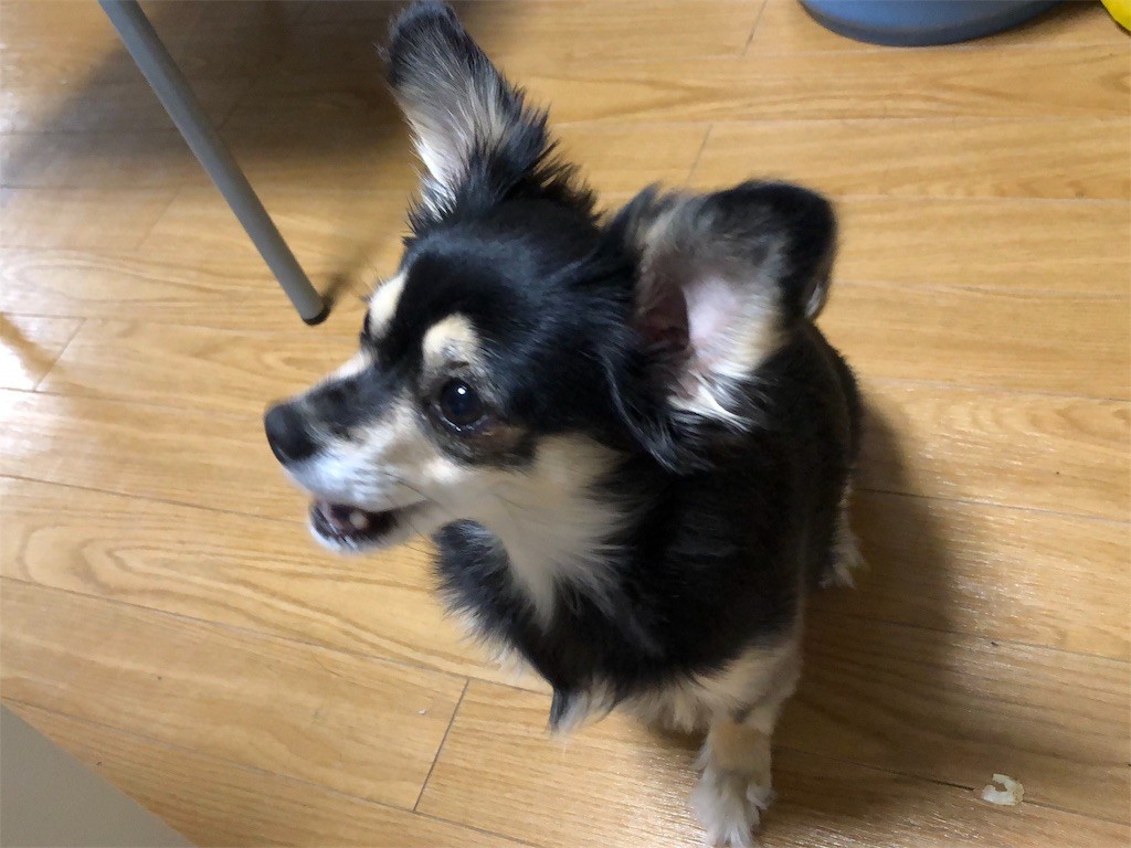 f:id:akie1000:20181215223130j:image