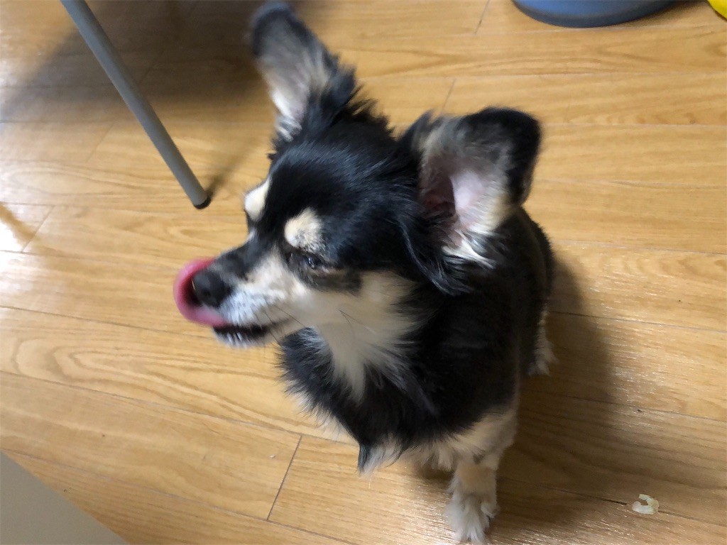 f:id:akie1000:20181215223140j:image