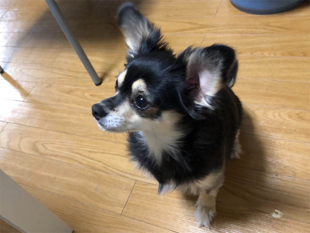 f:id:akie1000:20181215223148j:image