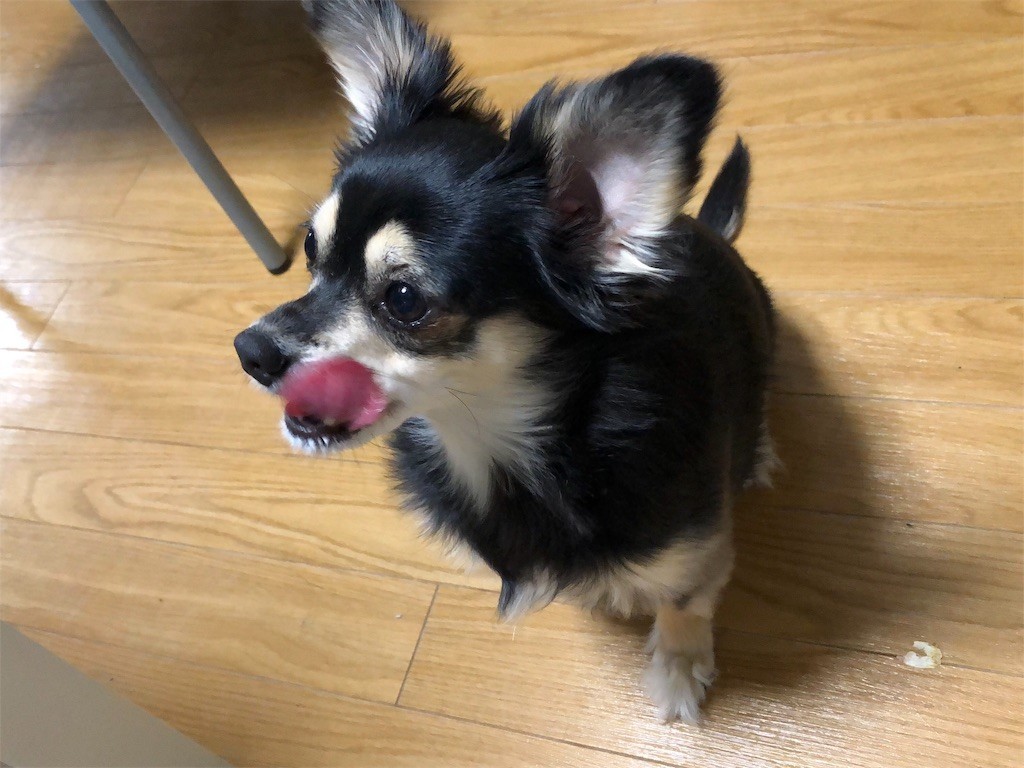 f:id:akie1000:20181215223156j:image