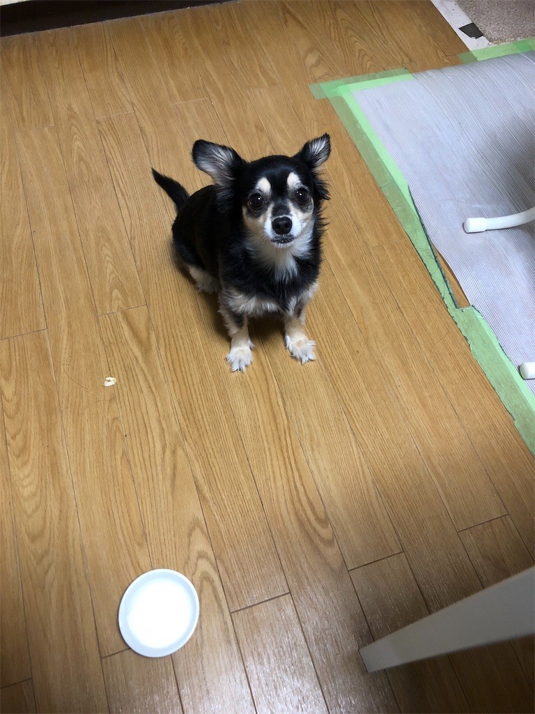 f:id:akie1000:20181215223159j:image