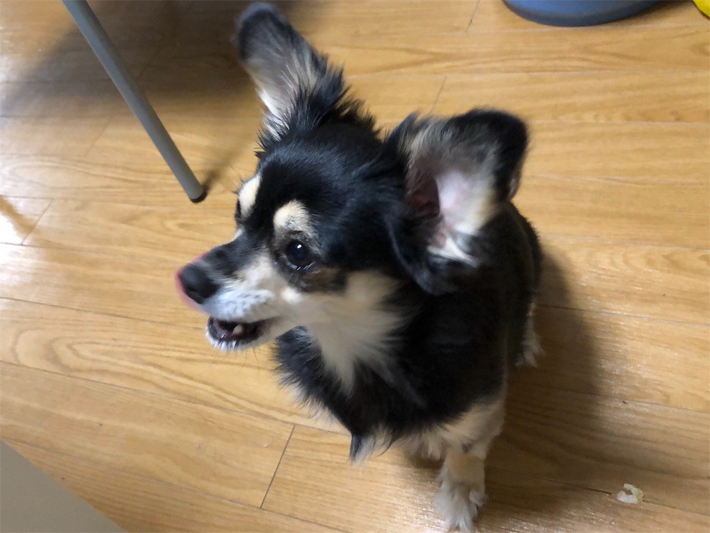 f:id:akie1000:20181215223218j:image
