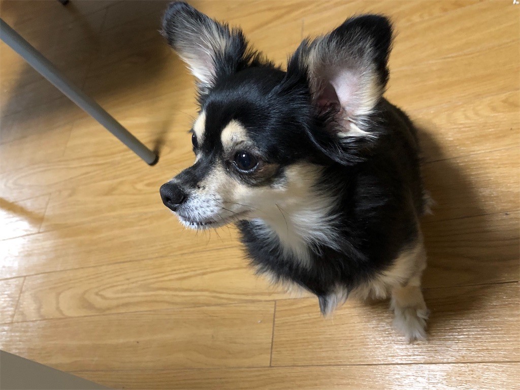 f:id:akie1000:20181215223226j:image