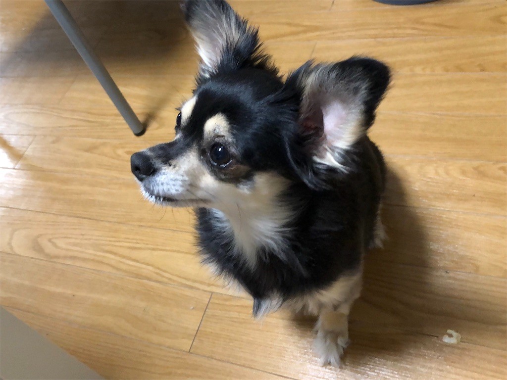 f:id:akie1000:20181215223229j:image