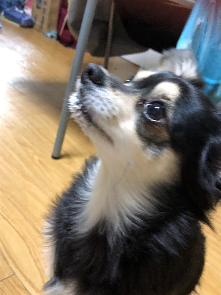 f:id:akie1000:20181215223242j:image