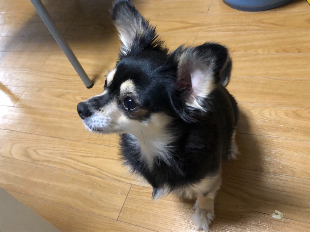 f:id:akie1000:20181215223246j:image