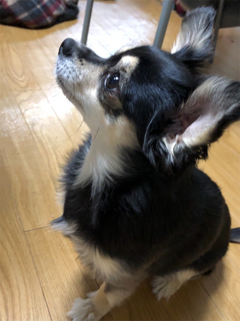 f:id:akie1000:20181215223305j:image