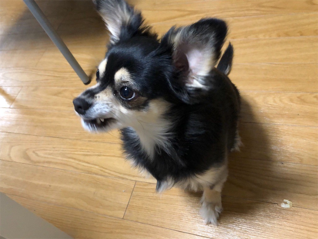 f:id:akie1000:20181215223315j:image