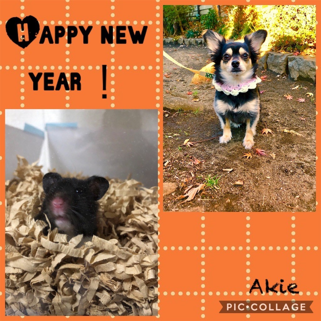 f:id:akie1000:20190106012952j:image