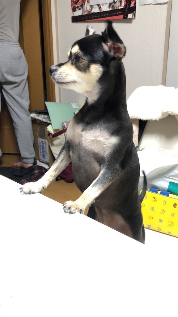 f:id:akie1000:20190110233510j:image