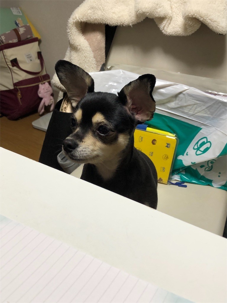 f:id:akie1000:20190110233536j:image